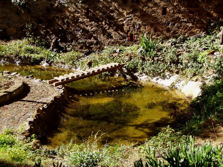 Il Laghetto del Centro di Entomologia - Piombino (LI)